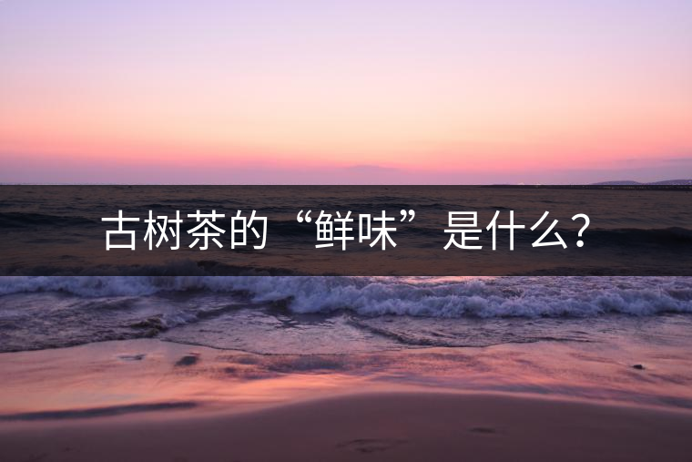 古樹茶的“鮮味”是什么？