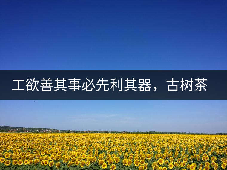 工欲善其事必先利其器，古樹茶用什么茶器最好？