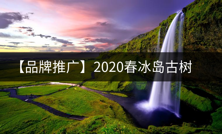 【品牌推廣】2020春冰島古樹(shù)普洱茶特級(jí)生茶餅茶葉多規(guī)格久樽正品