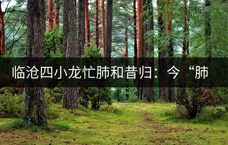 臨滄四小龍忙肺和昔歸:今“肺”“昔”比 臨滄四小龍忙肺和昔歸:今“肺”“昔”比