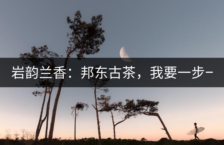 巖韻蘭香：邦東古茶，我要一步一步往上爬！