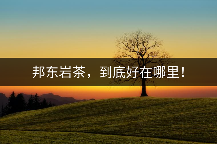 邦東巖茶，到底好在哪里！