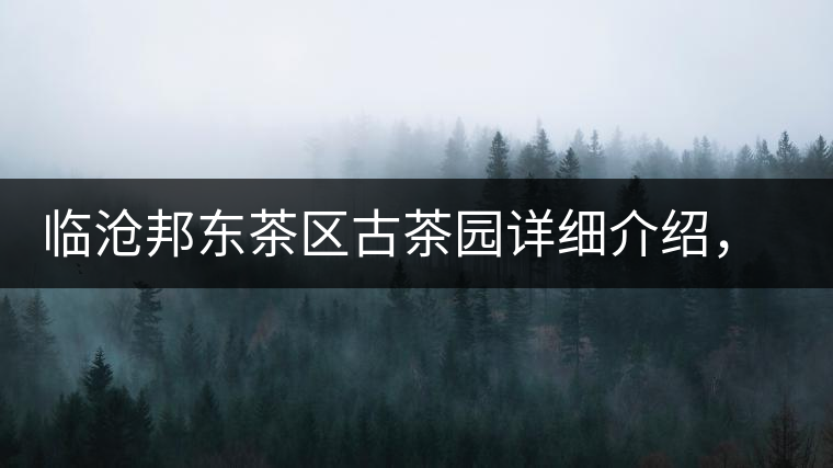 臨滄邦東茶區(qū)古茶園詳細(xì)介紹，邦東古樹茶特點(diǎn)