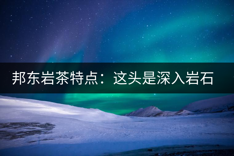 邦東巖茶特點(diǎn)：這頭是深入巖石的根，那頭是臨風(fēng)飄香的古韻