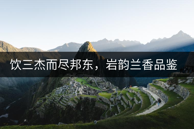 飲三杰而盡邦東，巖韻蘭香品鑒：生于山石上，韻味正當