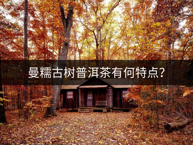 曼糯古樹普洱茶有何特點(diǎn)？