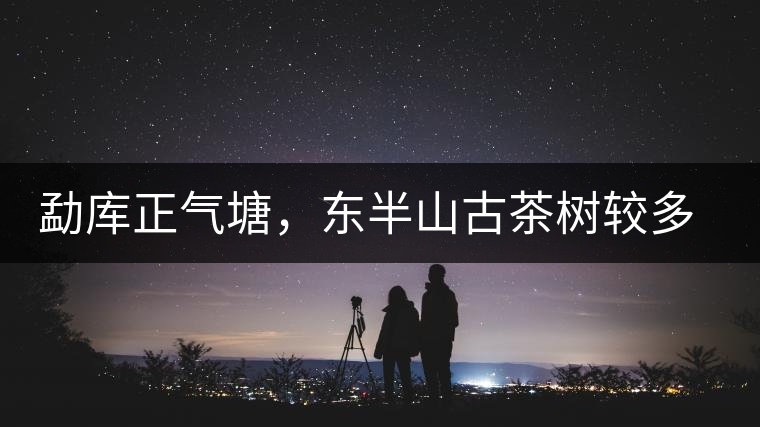 勐庫正氣塘，東半山古茶樹較多的寨子