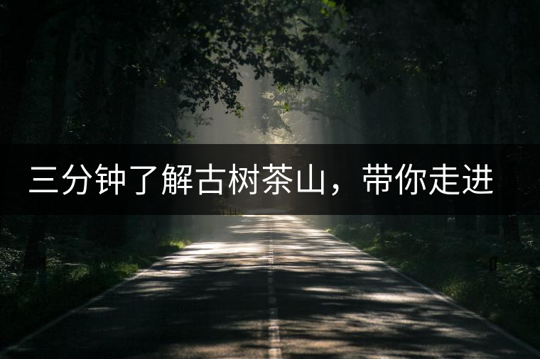 三分鐘了解古樹茶山，帶你走進西蒙佛殿山