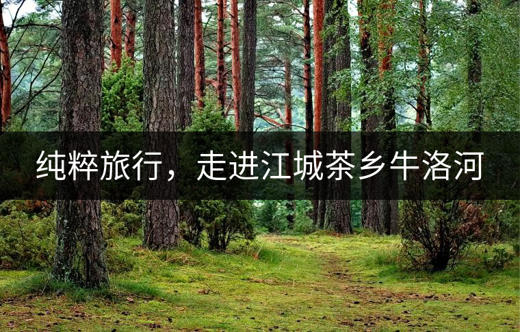 純粹旅行，走進江城茶鄉(xiāng)牛洛河