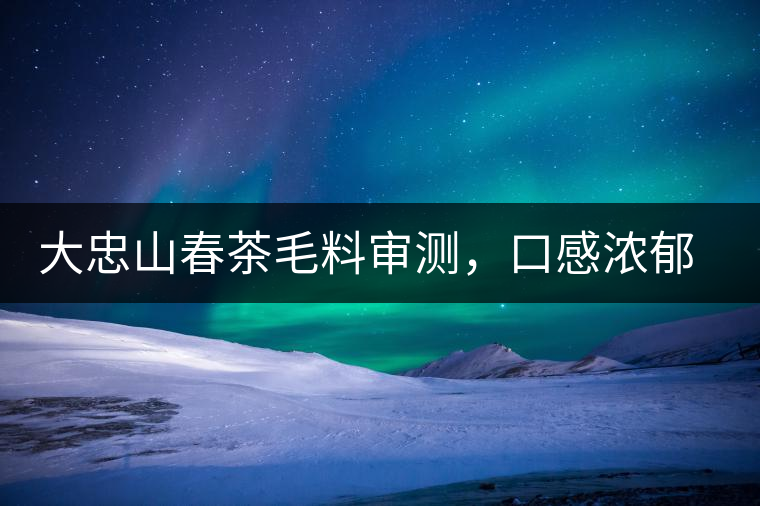 大忠山春茶毛料審測，口感濃郁花香與甜潤口感相得益彰