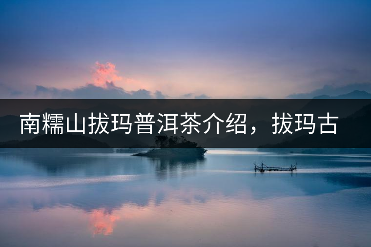 南糯山拔瑪普洱茶介紹，拔瑪古樹茶口感特點