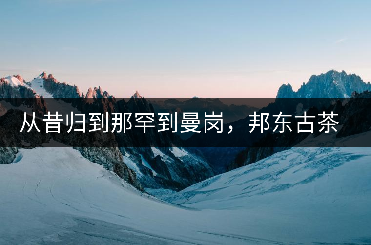 從昔歸到那罕到曼崗，邦東古茶藏著一條規(guī)律！