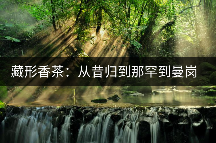 藏形香茶：從昔歸到那罕到曼崗，邦東古茶藏著一條規(guī)律！