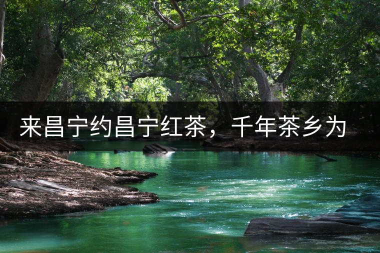 來昌寧約昌寧紅茶，千年茶鄉(xiāng)為您開啟生態(tài)之旅