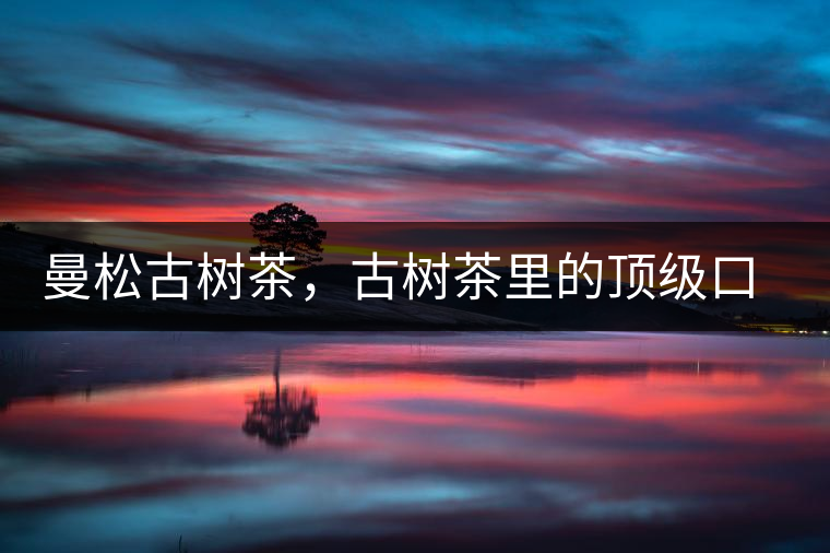 曼松古樹茶，古樹茶里的頂級口感