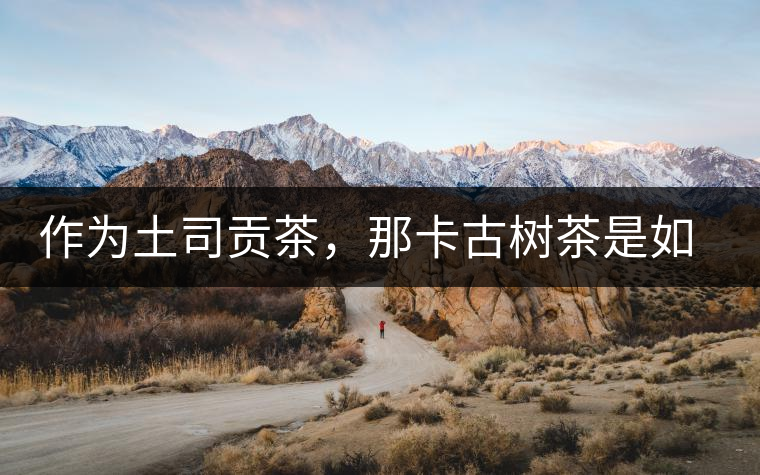 作為土司貢茶，那卡古樹(shù)茶是如何在眾多茶中脫穎而出的