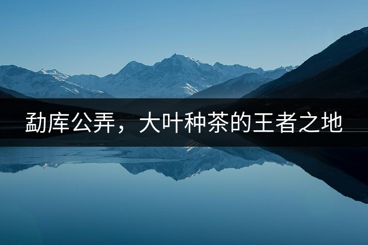 勐庫(kù)公弄，大葉種茶的王者之地