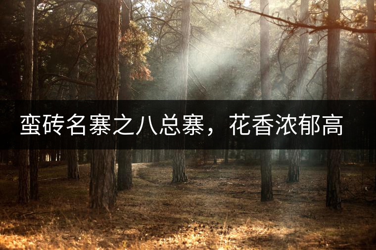 蠻磚名寨之八總寨，花香濃郁高揚