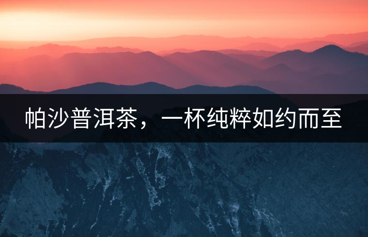 帕沙普洱茶，一杯純粹如約而至