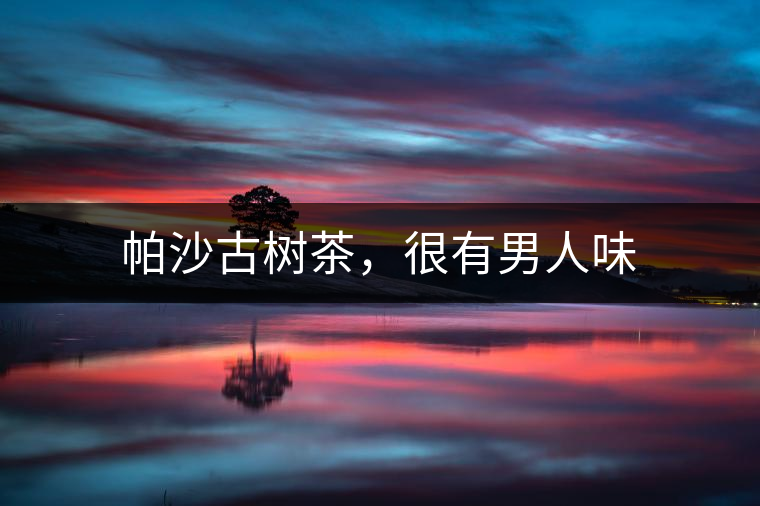 帕沙古樹茶，很有男人味