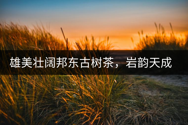 雄美壯闊邦東古樹茶，巖韻天成甘香鮮靈