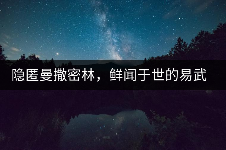 隱匿曼撒密林，鮮聞于世的易武一扇磨古樹茶