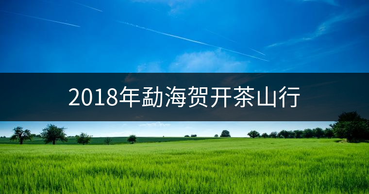 2018年勐海賀開茶山行 2018年勐海賀開茶山行