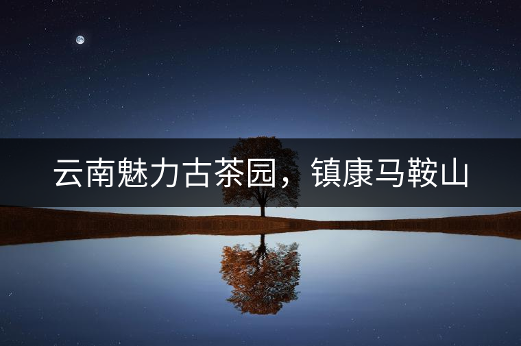 云南魅力古茶園，鎮(zhèn)康馬鞍山