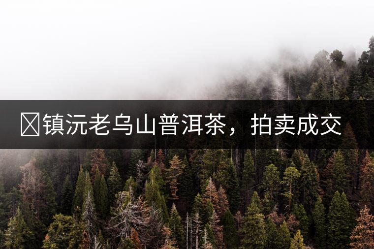 ?鎮(zhèn)沅老烏山普洱茶，拍賣成交價(jià)再創(chuàng)新高