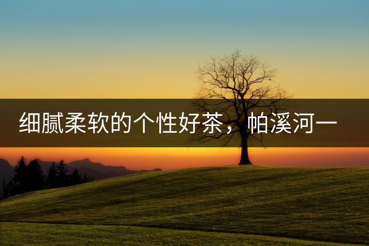 細(xì)膩柔軟的個(gè)性好茶，帕溪河一扇磨古樹(shù)茶