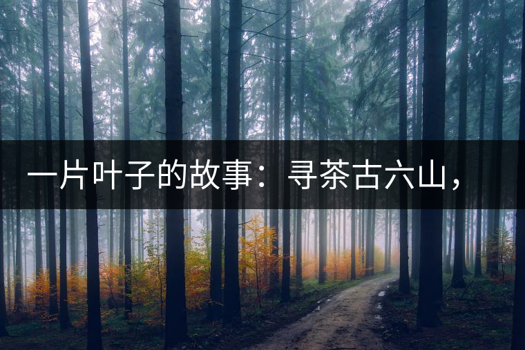 一片葉子的故事：尋茶古六山，倚邦最神秘