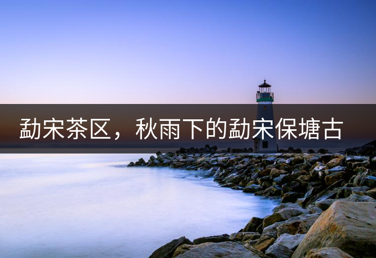 勐宋茶區(qū)，秋雨下的勐宋保塘古茶園