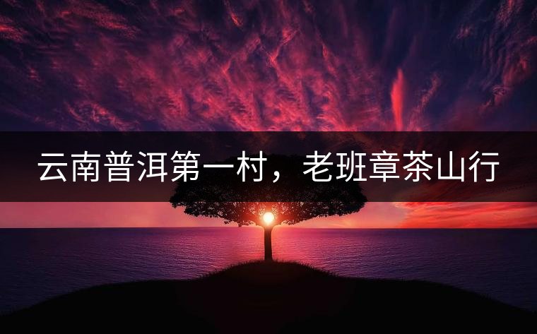 云南普洱第一村，老班章茶山行