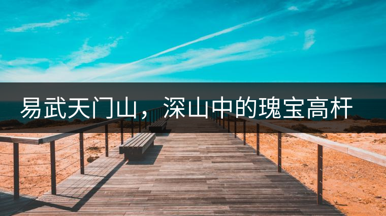 易武天門(mén)山，深山中的瑰寶高桿古樹(shù)