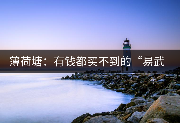 薄荷塘：有錢都買不到的“易武貴胄”，卓爾不群，無(wú)茶可及