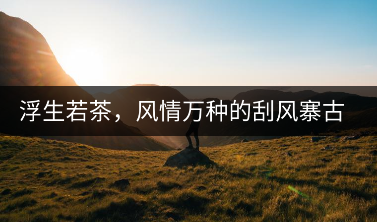 浮生若茶，風(fēng)情萬種的刮風(fēng)寨古樹茶