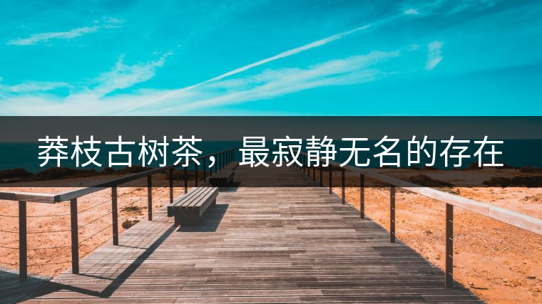 莽枝古樹(shù)茶，最寂靜無(wú)名的存在