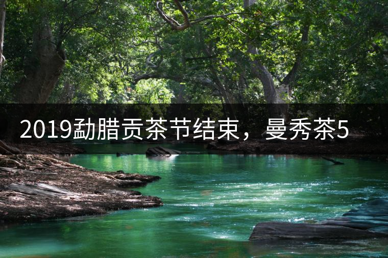 2019勐臘貢茶節(jié)結(jié)束，曼秀茶5公斤107萬(wàn)奪得金獎(jiǎng)