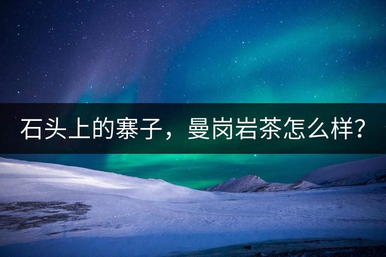 石頭上的寨子，曼崗巖茶怎么樣？