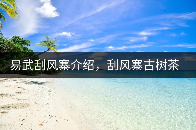 易武刮風(fēng)寨介紹，刮風(fēng)寨古樹茶口感特點