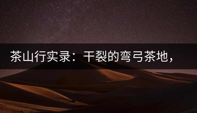 茶山行實錄：干裂的彎弓茶地，干旱減產(chǎn)已成定局