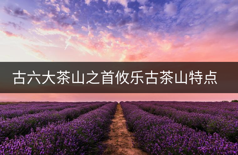古六大茶山之首攸樂(lè)古茶山特點(diǎn)介紹 古六大茶山之首攸樂(lè)古茶山特點(diǎn)介紹
