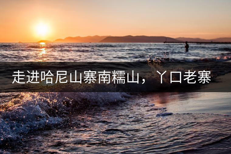 走進(jìn)哈尼山寨南糯山，丫口老寨普洱茶特點(diǎn)