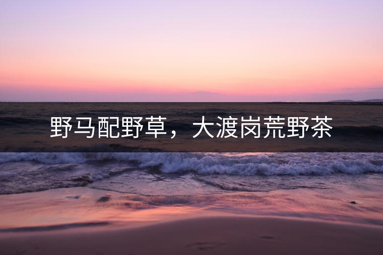 野馬配野草，大渡崗荒野茶