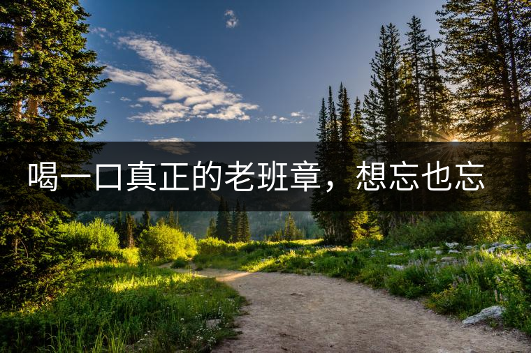 喝一口真正的老班章，想忘也忘不了的味道