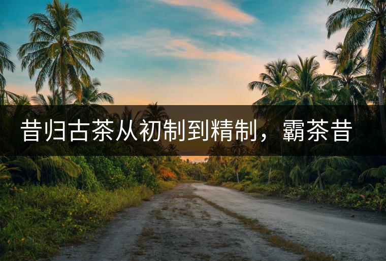 昔歸古茶從初制到精制，霸茶昔歸茶農(nóng)專業(yè)合作社成立