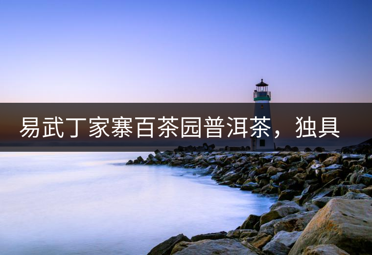 易武丁家寨百茶園普洱茶，獨具魅力的原始古樹茶