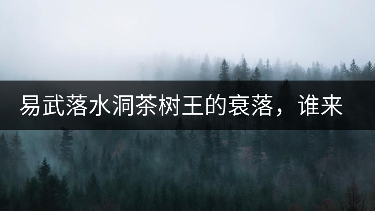 易武落水洞茶樹王的衰落，誰來關注古樹茶？