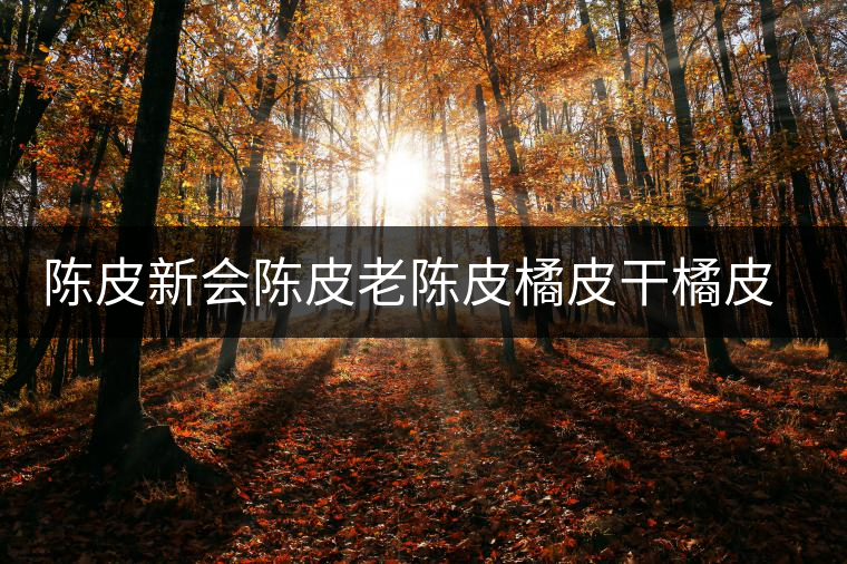 陳皮新會(huì)陳皮老陳皮橘皮干橘皮薏米茶非特級罐裝可配普洱白茶黃芪