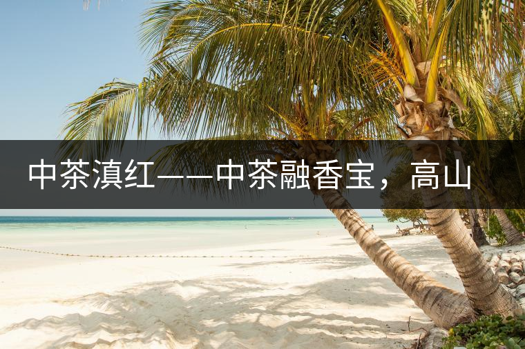 中茶滇紅——中茶融香寶，高山烏龍茶